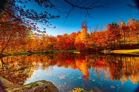 Follow These Simple Tips for Beautiful Fall Photography