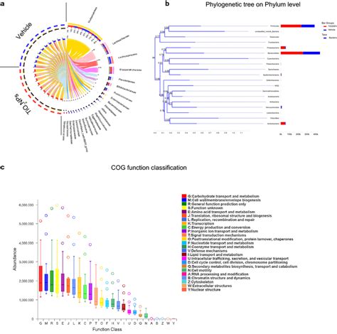 16S ribosomal RNA gene sequencing analysis after exposure to TiO2NPs. a... | Download Scientific ...