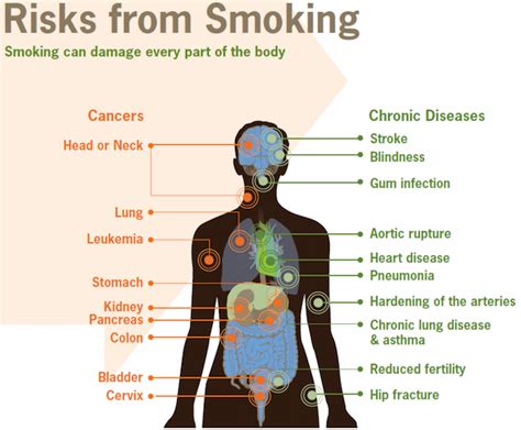 CDC - Fact Sheet - Health Effects of Cigarette Smoking - Smoking & Tobacco Use