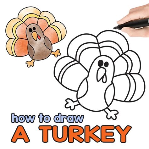 How to Draw a Turkey | Turkey drawing, Easy turkey drawing, Thanksgiving drawings