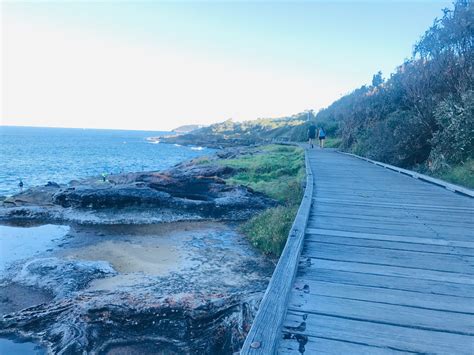 Freshwater Beach Sydney NSW Australia | Fresh water, Beach, Sydney walk