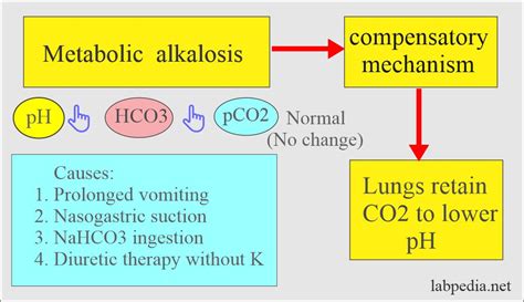 Acid-base Balance:- Part 2 - Introduction of Acid-Base Balance ...