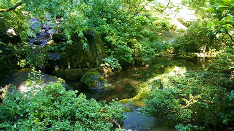 19 Beautiful Moments I Captured in the Portland Japanese Garden