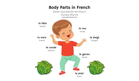 Learning body parts in French: nursery rhyme | A French Start