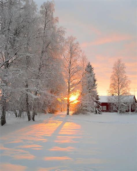 🔹The Best Of Finland Feature🔹 *** Featured artis | Winter landscape, Winter scenery, Winter pictures