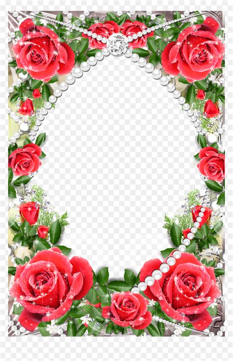 Red Rose Flower Border Design Png, Transparent Png - vhv