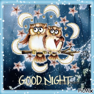 √無料でダウンロード！ night owl gif 337581-Night owl funny gif