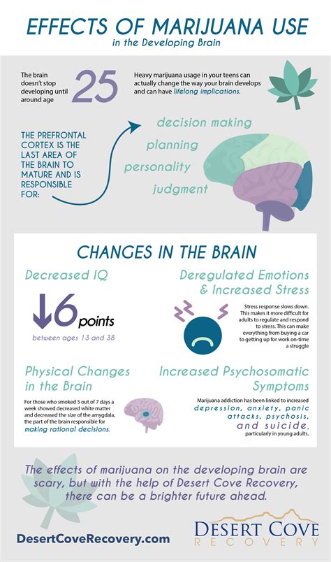 Weed Effects On Brain