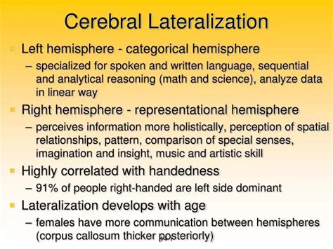 PPT - Cerebral Lateralization PowerPoint Presentation, free download ...