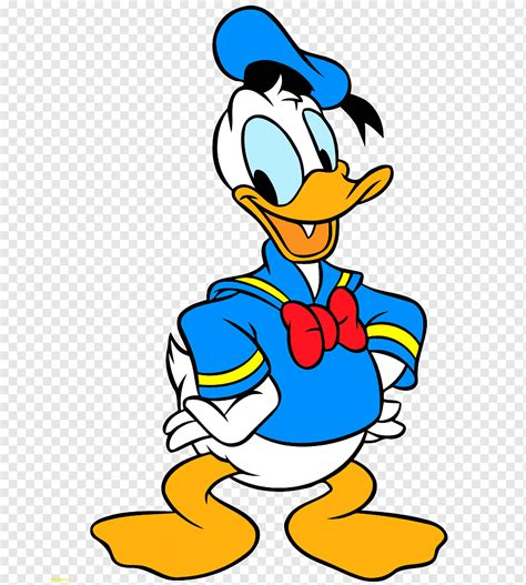 Pato donald pato margarita tonto, pato donald, héroes, vertebrado, Pato Donald png | PNGWing