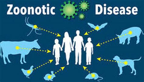 Role of companion animals in transmitting zoonotic diseases