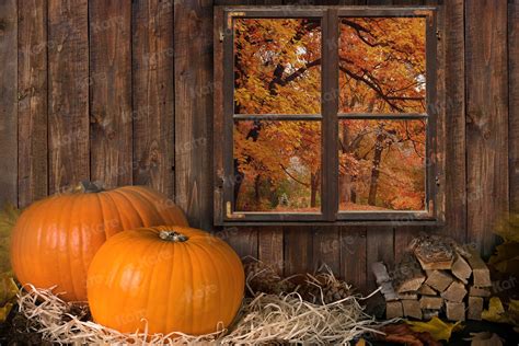 Kate Fall Backdrop Pumpkin Wood Farm Window for Photography