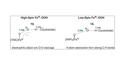 Comparison of High-Spin and Low-Spin Nonheme FeIII–OOH Complexes in O–O Bond Homolysis and H ...