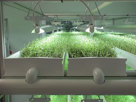 Commercial Hydroponic Growing Systems #hydroponicgrowingsystems ...