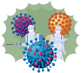 How An Enveloped Virus Is Transmitted | Bio Recovery