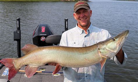 Fishing Lake of the Woods | Destination Ontario