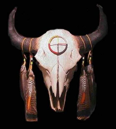 Buffalo skull | Buffalo skull, Cow skull art, Skull art