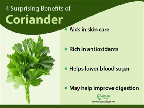 11 Surprising Health Benefits of Coriander | Organic Facts