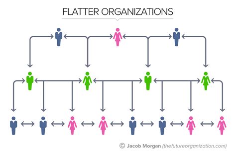 Exemples De Structure Organisationnelle Plate - Diverses Structures