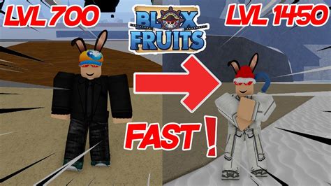 Blox fruits level guide