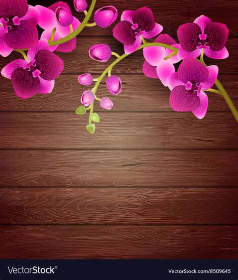 Pink Orchids on a Wooden Background Royalty Free Vector