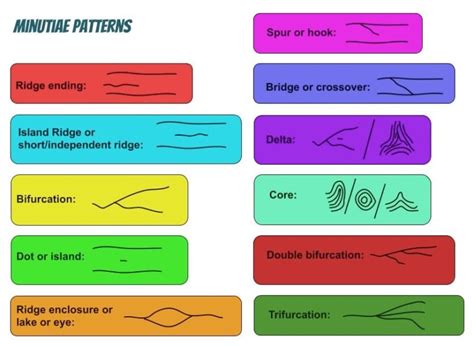 Do Identical Twins have the Same Fingerprints? | OddFeed