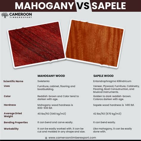 African Mahogany vs Sapele – A Detailed Comparison on The Basis of Uses ...