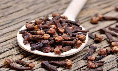 The Powerful Healing Properties of Clove - Svastha Ayurveda