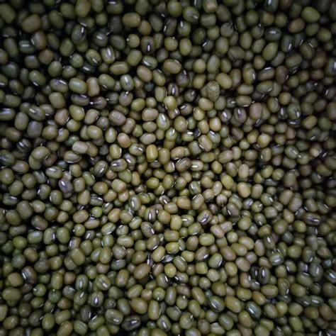 Jual Kacang Hijau 1kg di Seller Warung Sembako Anin - Kota Tangerang ...