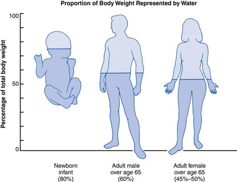 5. Theories of aging and physical changes | Nurse Key