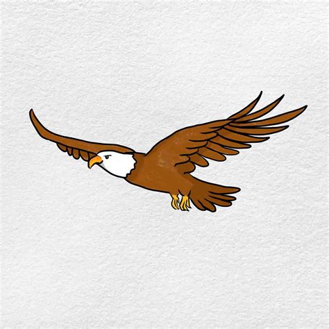 How to Draw a Eagle Flying - HelloArtsy