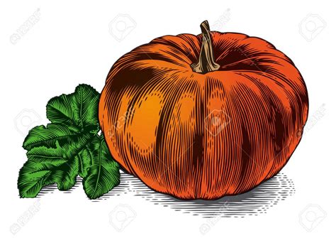 Pumpkin Leaf Drawing at GetDrawings | Free download