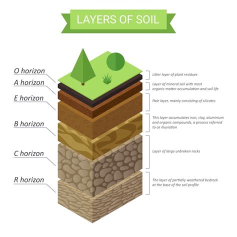 Premium Vector | Soil layers isometric diagram. underground soil layers diagram.