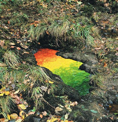 Magical Land Art By Andy Goldsworthy | Bored Panda