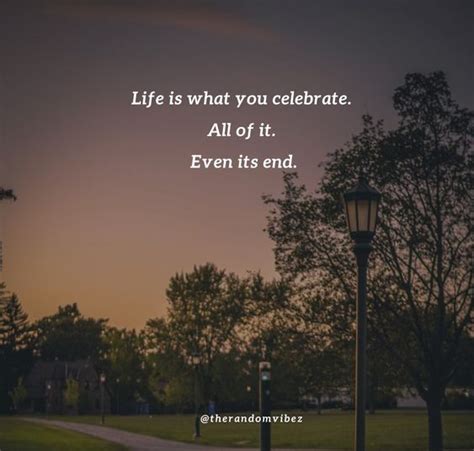 60 End Of Life Quotes To Help You Understand Life Better – The Random Vibez