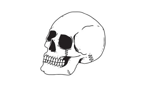 skull side view isolated on white background. outlined cartoon drawing of creepy, gothic, death ...