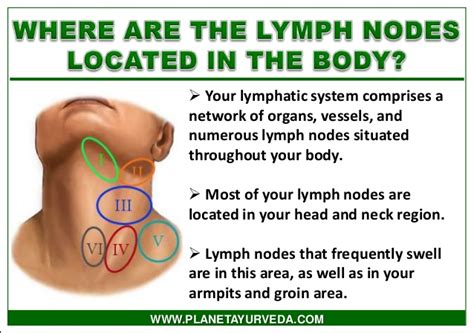 Causes Of Swollen Lymph Nodes | Swollen lymph nodes, Lymph nodes, Lymph ...