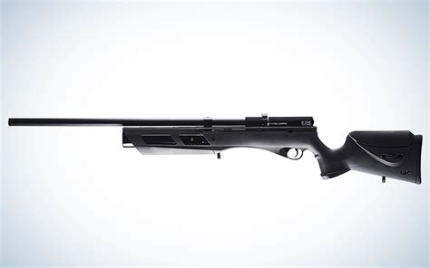 The Best Pellet Guns: Budget-Friendly Pellet Rifles for Target Shooting ...