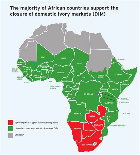 Eyes wide shut: Southern Africa’s elephants now in the firing line - EIA