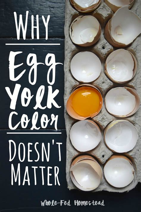 Why Egg Yolk Color Doesn't Matter - Whole-Fed Homestead