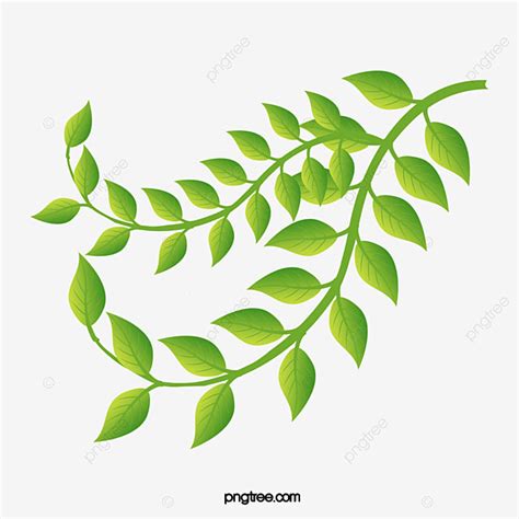 Fresh Greens Clipart Transparent PNG Hd, Fashion Fresh Green Leaves Vector, Leaf Material ...