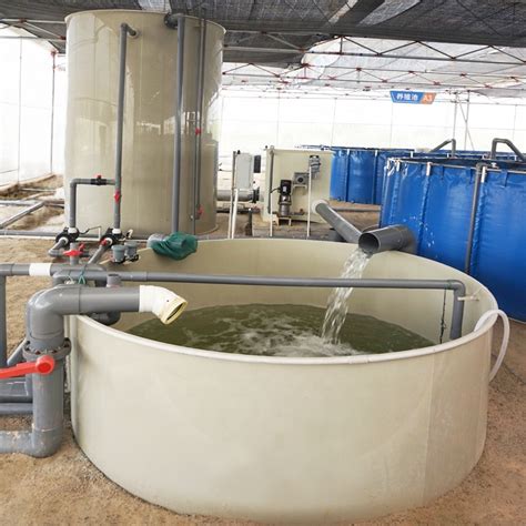 Fish Culture Recirculation Aquaculture System,Sturgeon Farm Indoor Modular Combination ...