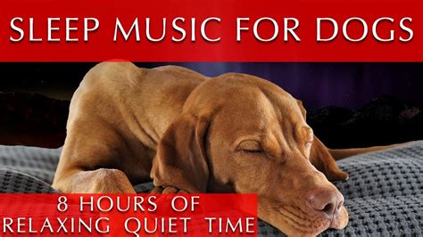 Dog Sleep Music 8 Hours [Relaxing Quiet Time] - YouTube