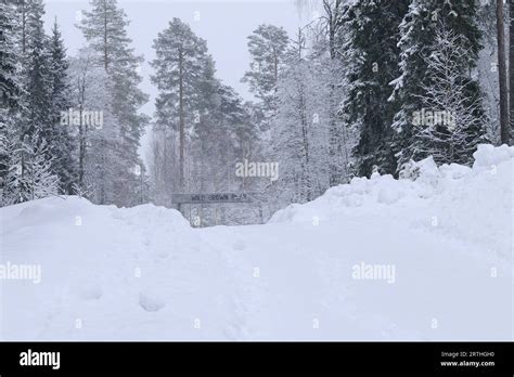 Finnish snowy landscape at the Russian border, Lentiira, Finland Stock ...