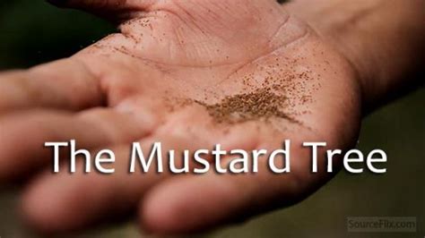 Mustard Seed Faith Sermon by Christopher Holdsworth, Luke 17:5-10 - SermonCentral.com