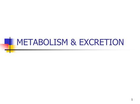 METABOLISM & EXCRETION.ppt