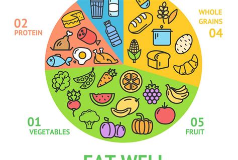 Eatwell Guide – What do I need to know?