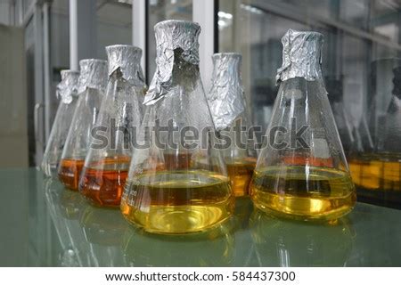 Broth Medium Culture Bacterial Cell Stock Photo (Royalty Free ...