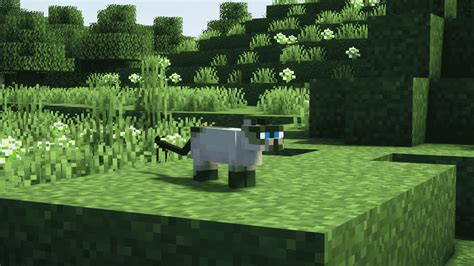 What Do Cats Eat in Minecraft