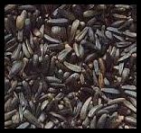 Niger Seed 25kg - Val's Pet Supplies